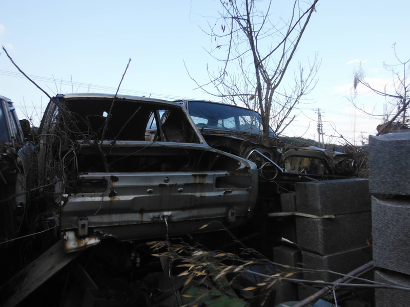 Illustration for article titled When Car Collecting Becomes Destructive